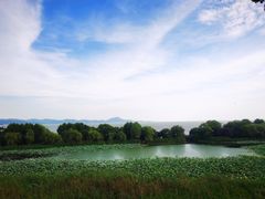 -上海市保健医疗中心