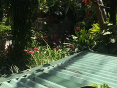-Le Chalet Dalat