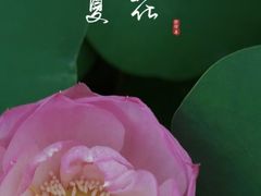 -重元寺