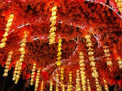 -北京欢乐谷
