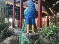 -西双版纳傣族园