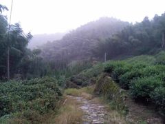 -仙霞关景区