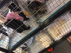 -远洋未来广场(育慧北路店)