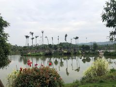 -枫香湖儿童公园