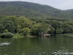 -紫霞湖公园