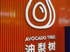 -油梨树 AVOCADO TREE(亮马桥店)