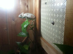 android_upload_pic-上海大自然野生昆虫馆