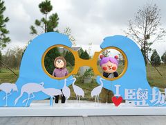 -盐城丹顶鹤湿地生态旅游区