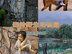 -西安秦岭野生动物园