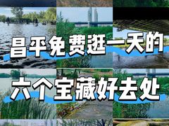 -有喜胶东小馆(太申祥和店)