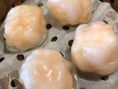 虾饺皇-万龙洲海鲜(南新仓店)