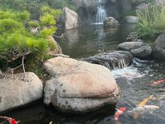 -罗红摄影艺术馆