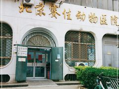 -北京赛佳动物医院