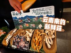 -芸山季·云南野生菌火锅(人民广场来福士店)