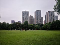 -重庆彩云湖湿地公园