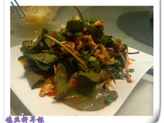 鸡丝折耳根-自贡盐帮菜·玩辣餐厅(樱花园西街店)