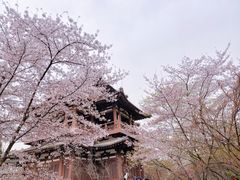-西安青龙寺遗址景区