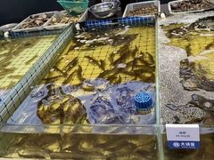 -大锅强·蒸海鲜青岛菜(金沙滩店)