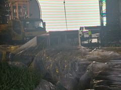 -丁香湖丁香小镇Citypark滑雪公园戏雪嘉年华