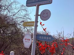 -句容茅山景区