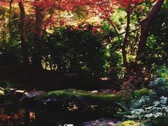 景色-有栖山 清光院 清水寺