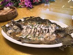 -呼吸森林·生态农庄农家乐私房菜