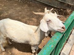 -五龙山野生动物王国