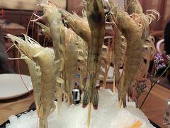 -尚海豆捞(乐虹坊店)