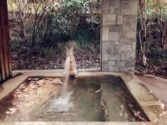 -张家港金凤凰度假村温泉