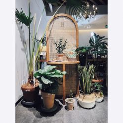 -芳香乐府疗愈空间·SPA·冥想