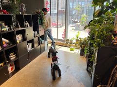 -百好乐宠物友好餐厅(朝外大街店)