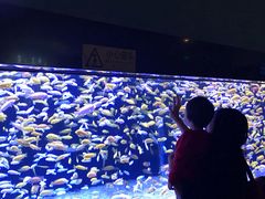 -成都浩海立方海洋公园