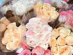 -循礼门鲜花花市(武汉循礼门店)