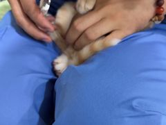 -佳雯宠物医院·皮肤科·内外科(春晓路分院)