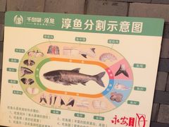 -永安水煮活鱼·仪征菜(仪征奥林匹克店)