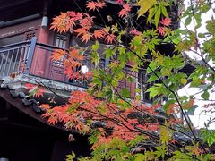 -杭州半山国家森林公园