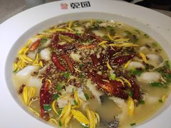 老坛酸菜鱼-乾园(天河城店)