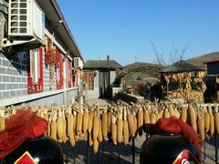 android_upload_pic-高老庄农家菜