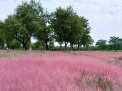 -汉长安城未央宫国家考古遗址公园