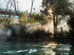 -苏州湾王焰温泉度假酒店