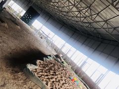 -水洞沟旅游区