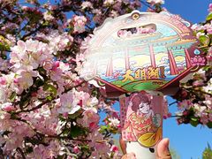 -济南大明湖景区