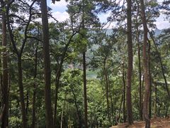 -黔灵山公园
