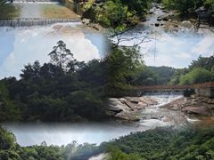 -广州白江湖森林公园