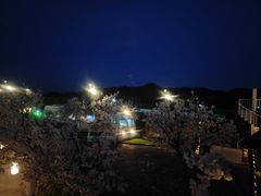 -Blue Concept Cafe&Farm·關於藍