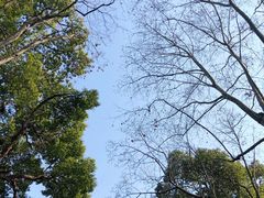 -吴山景区