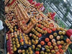 -莲意浓(新华店)