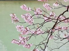 -红星桥(地铁站)