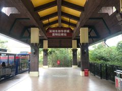 -东部华侨城