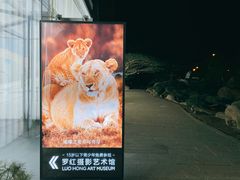 -罗红摄影艺术馆